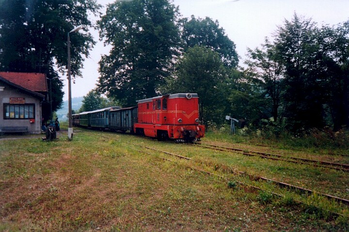 Jawornik Polski, 07.1999, foto Andrew Goodwin